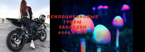 ПСИЛОЦИБИНОВЫЕ ГРИБЫ Куйбышев