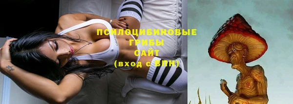 ПСИЛОЦИБИНОВЫЕ ГРИБЫ Куйбышев