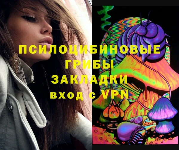 ПСИЛОЦИБИНОВЫЕ ГРИБЫ Куйбышев
