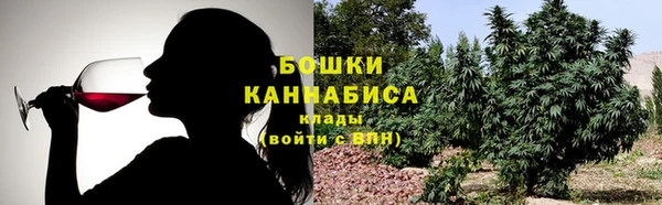 ПСИЛОЦИБИНОВЫЕ ГРИБЫ Куйбышев