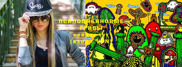 ПСИЛОЦИБИНОВЫЕ ГРИБЫ Куйбышев